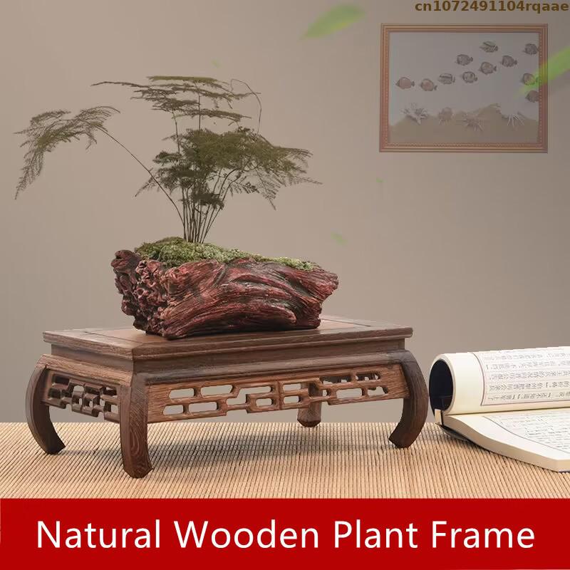 Premium Holz Basen Bonsai Halt – Coffee Tea For Plants Bewertung und Preis