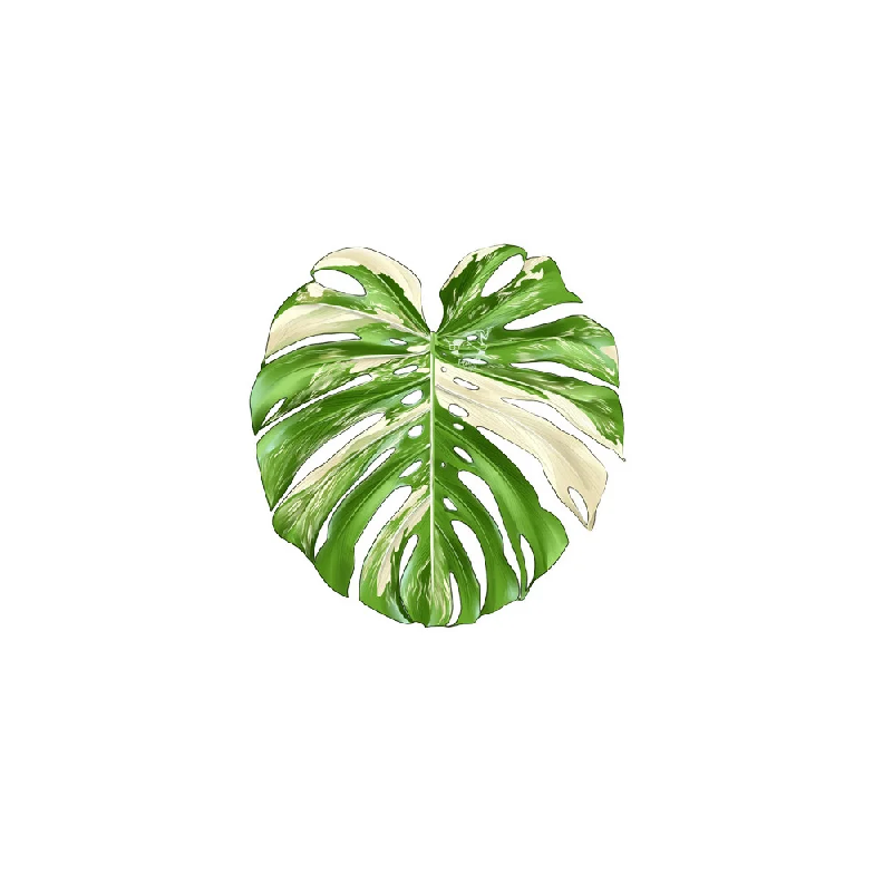 Rutschfeste, wärmeisolierende  – Coffee Tea For Plants Bewertung und Preis